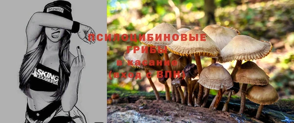 ALPHA-PVP Заводоуковск
