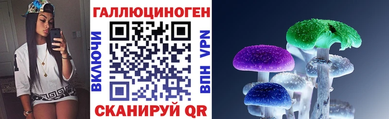 Купить закладки  Козьмодемьянск  Галлюциногенные грибы мицелий 