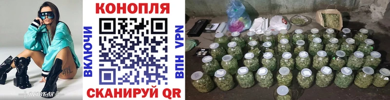 Канабис White Widow  Купить закладки  Козьмодемьянск 